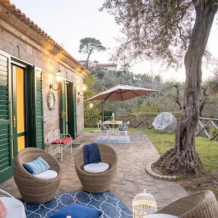 Spacious With Garden&spa Willa